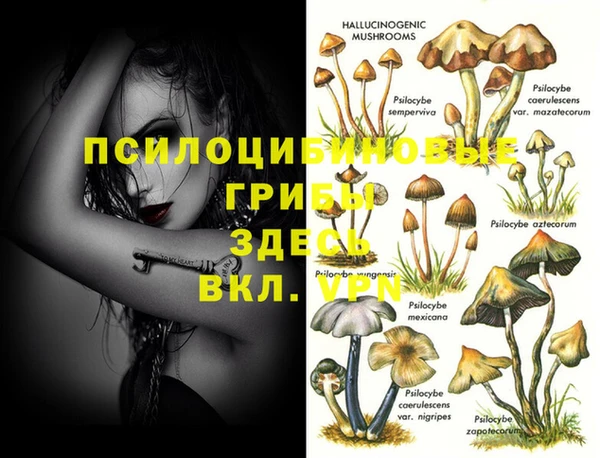 mdma Богородск